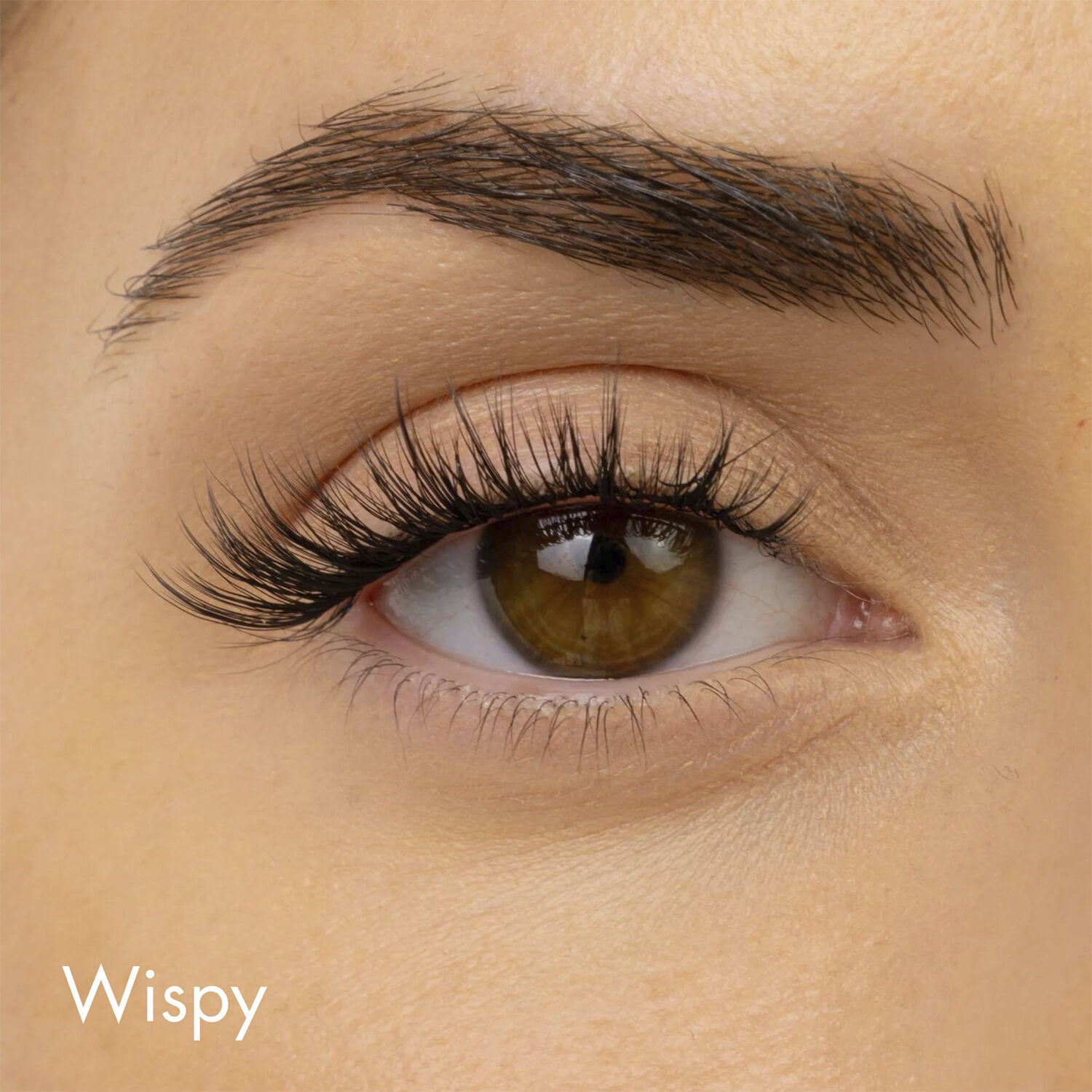 Extended Lash Starter Kit - Wispy