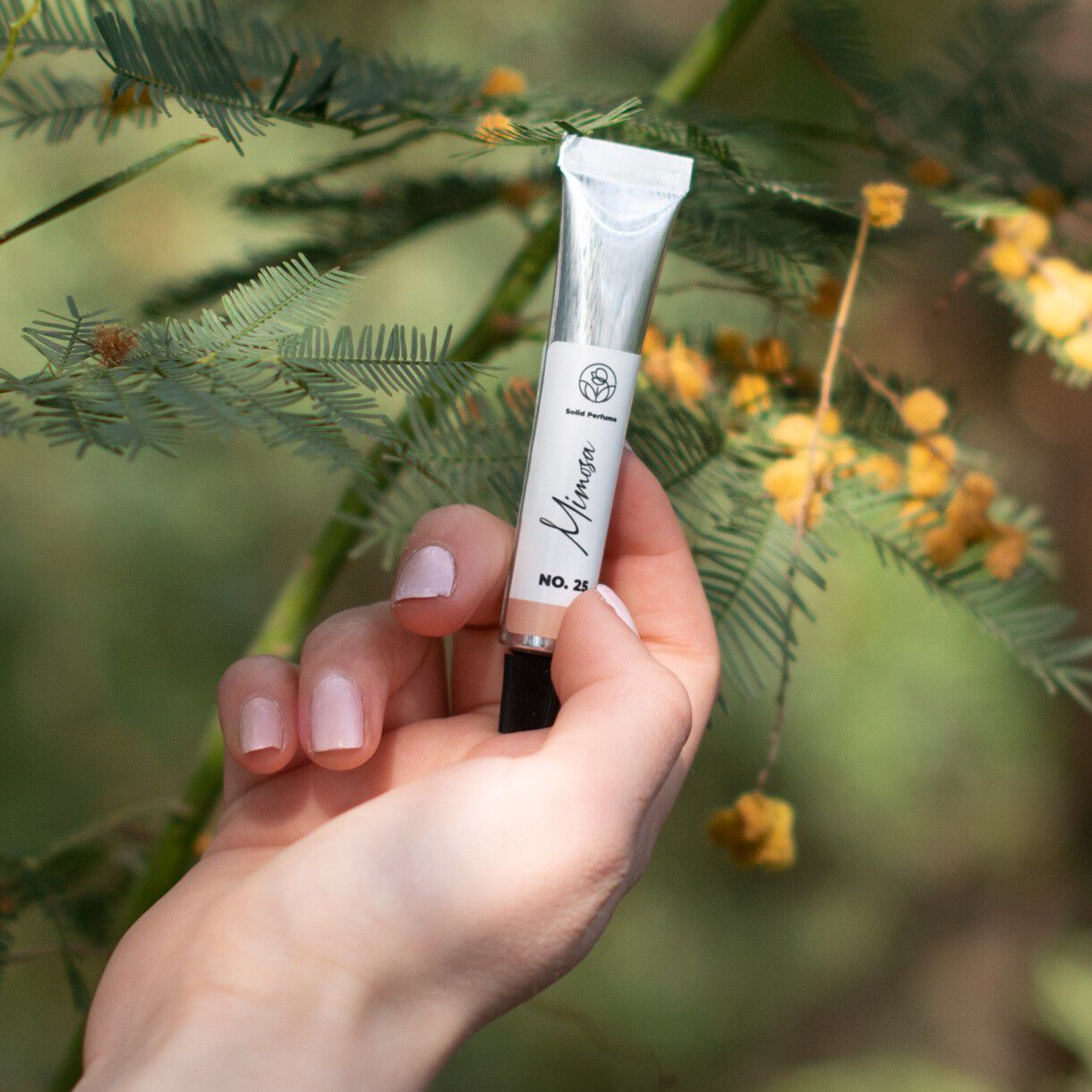 Solid parfume - Mimosa No. 25