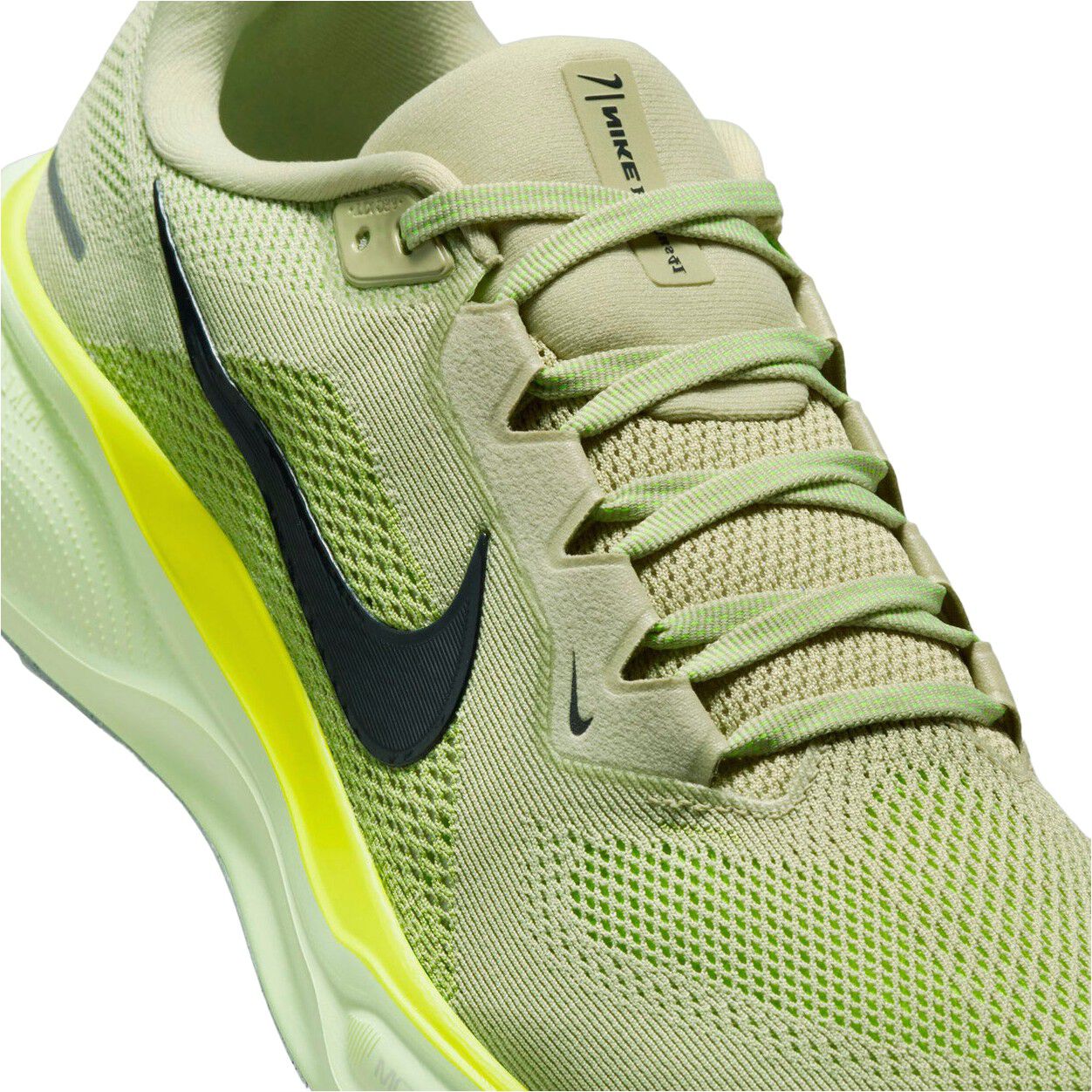 Pegasus 41 L&oslash;besko