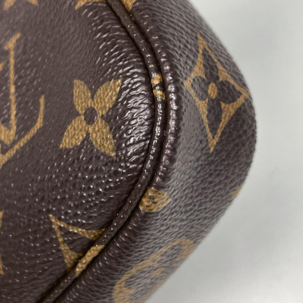 Louis Vuitton Pochette Accessoires