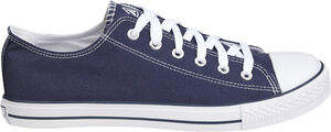 Fir Canvas Low III