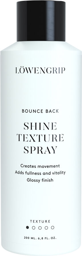 Bounce Back - Shine & Texture Spray