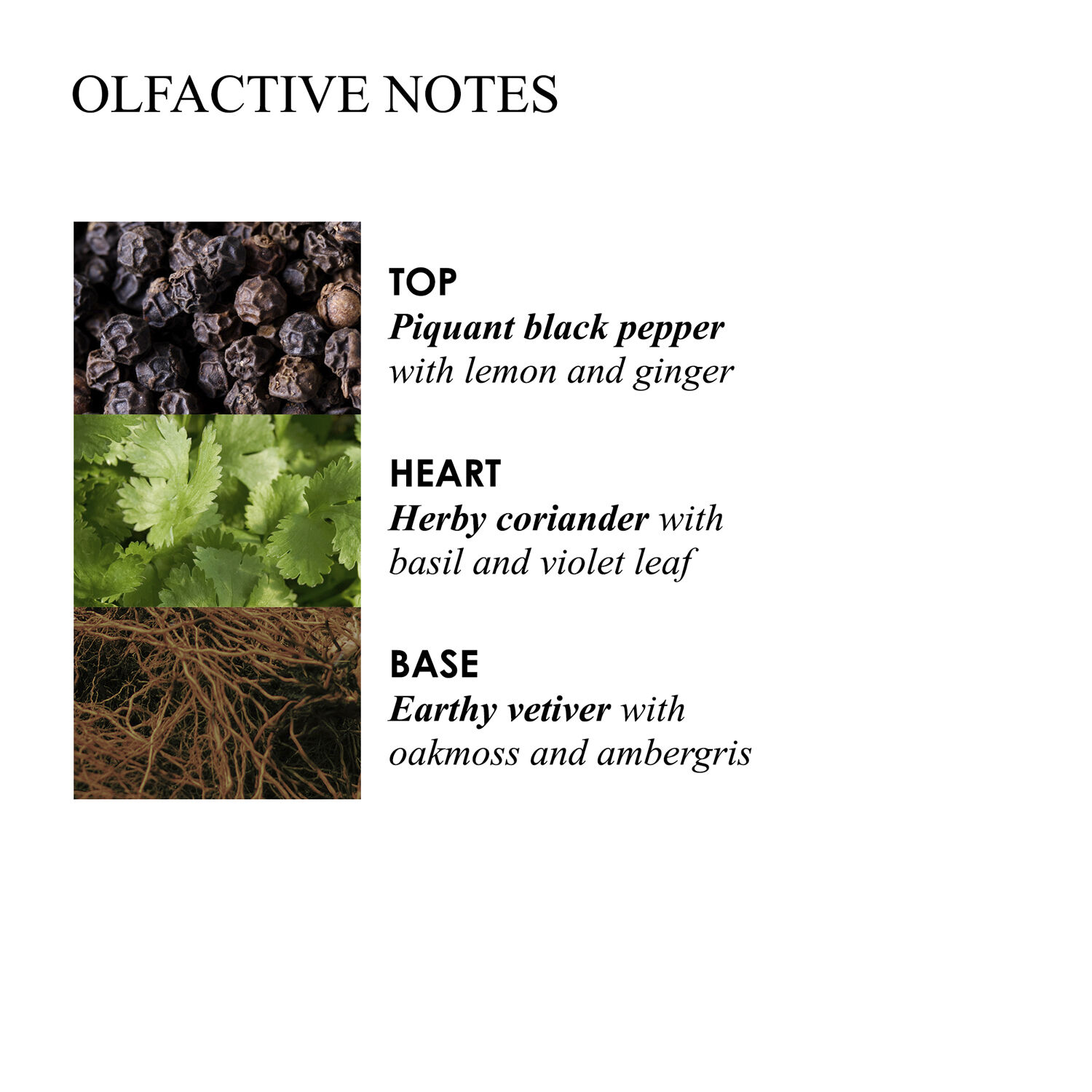 Re-charge Black Pepper Bath & Shower Gel