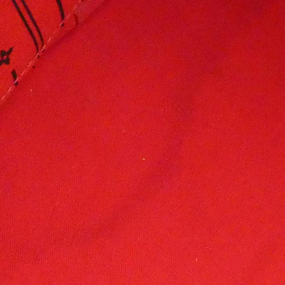 Louis Vuitton Neverfull