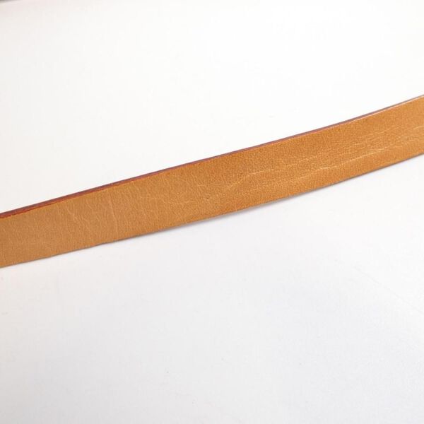 Louis Vuitton Florentine Pochette