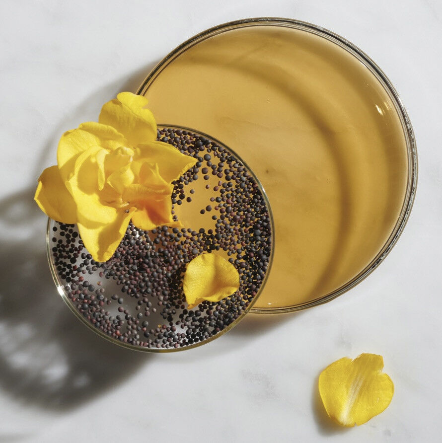 Ferulic Brew Rejuvenating Facial Essence