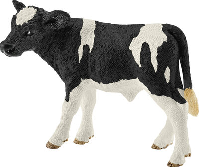 SCH13798  Holstein calf