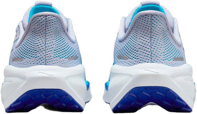 Pegasus 41 L&oslash;besko