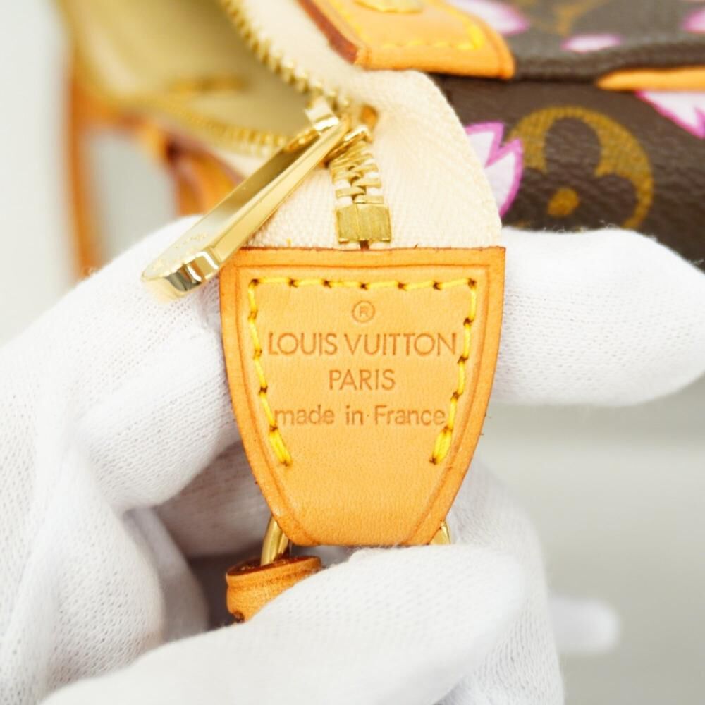 Louis Vuitton Pochette Accessoires