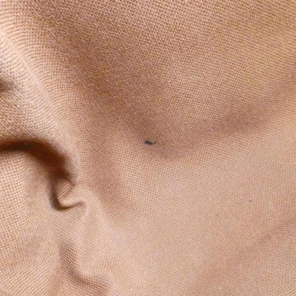 Louis Vuitton Totally