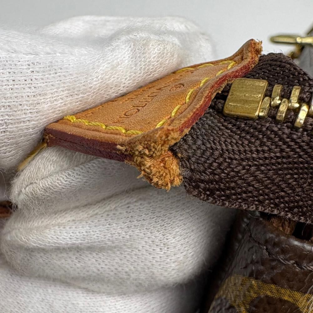 Louis Vuitton Pochette Accessoires