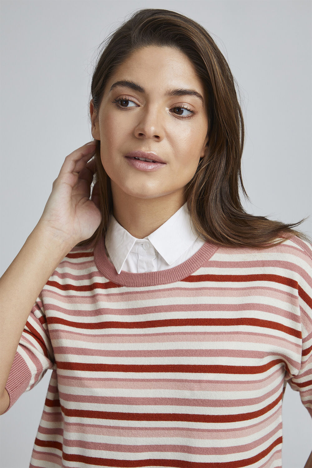 FAZACOLLAR 1 Accessoires