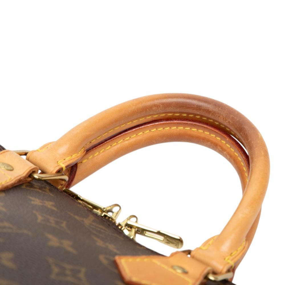 Louis Vuitton Alma