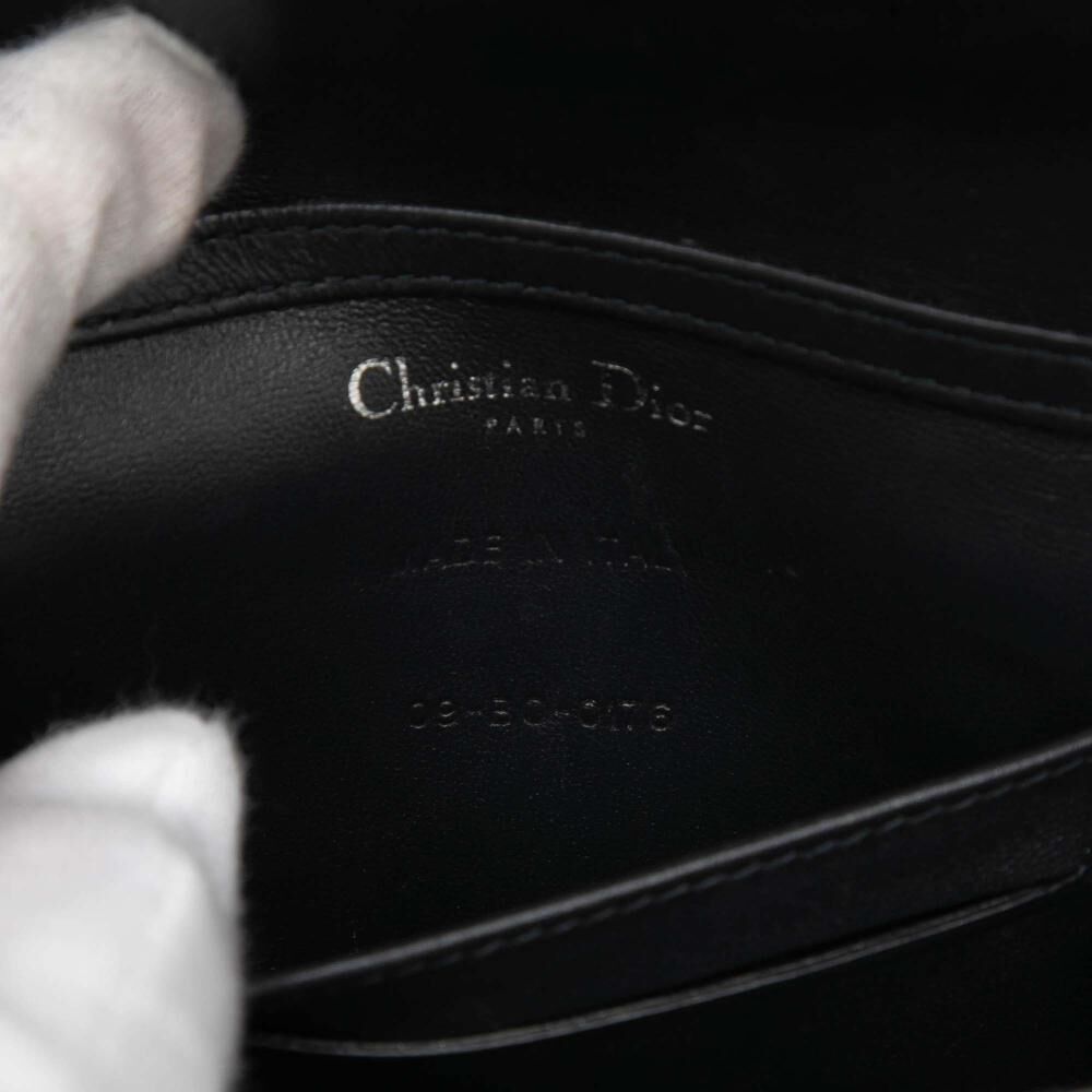 Dior Crossbody Bag