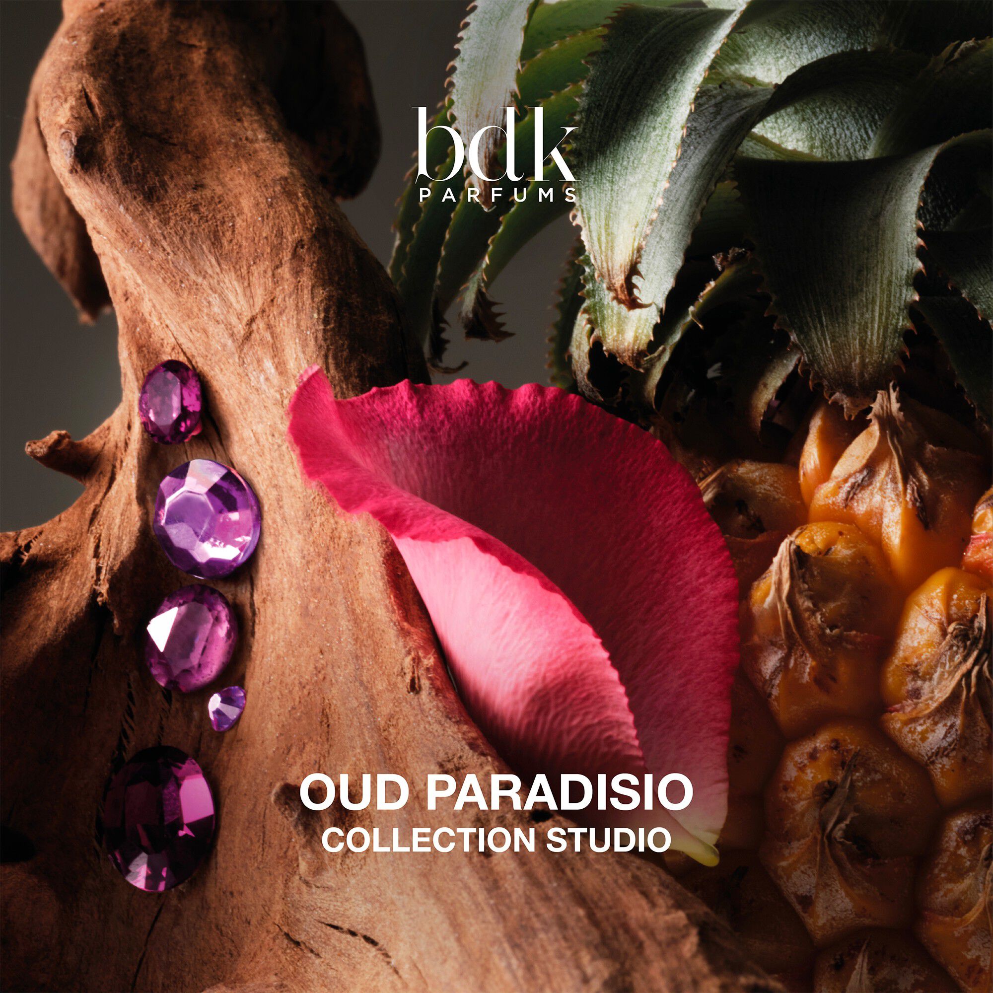 BDK OUD PARADISIO 50 ML