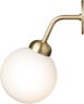 Apiales Wall Hard-wired, brushed brass / opal