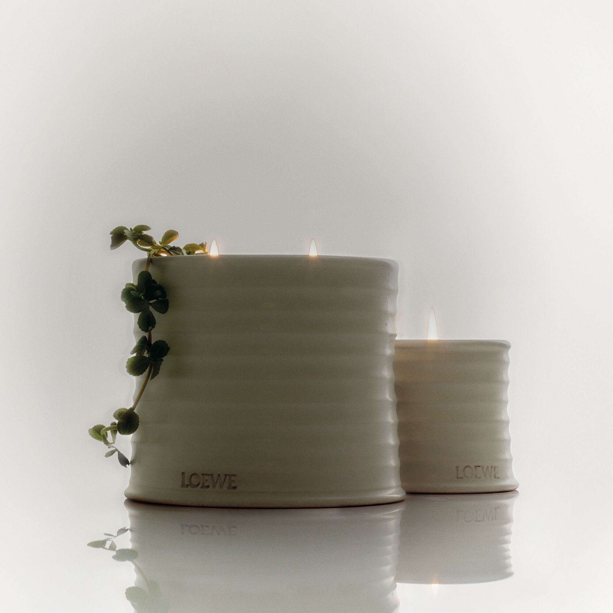 LOEWE Oregano Candle