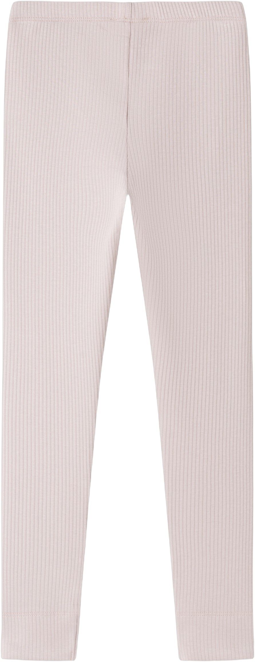 Leg