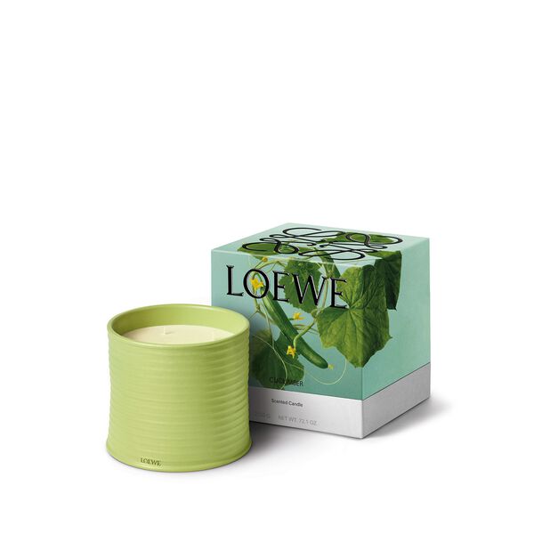 LOEWE Cucumber Large Candle