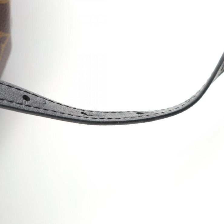 Louis Vuitton Palm Springs