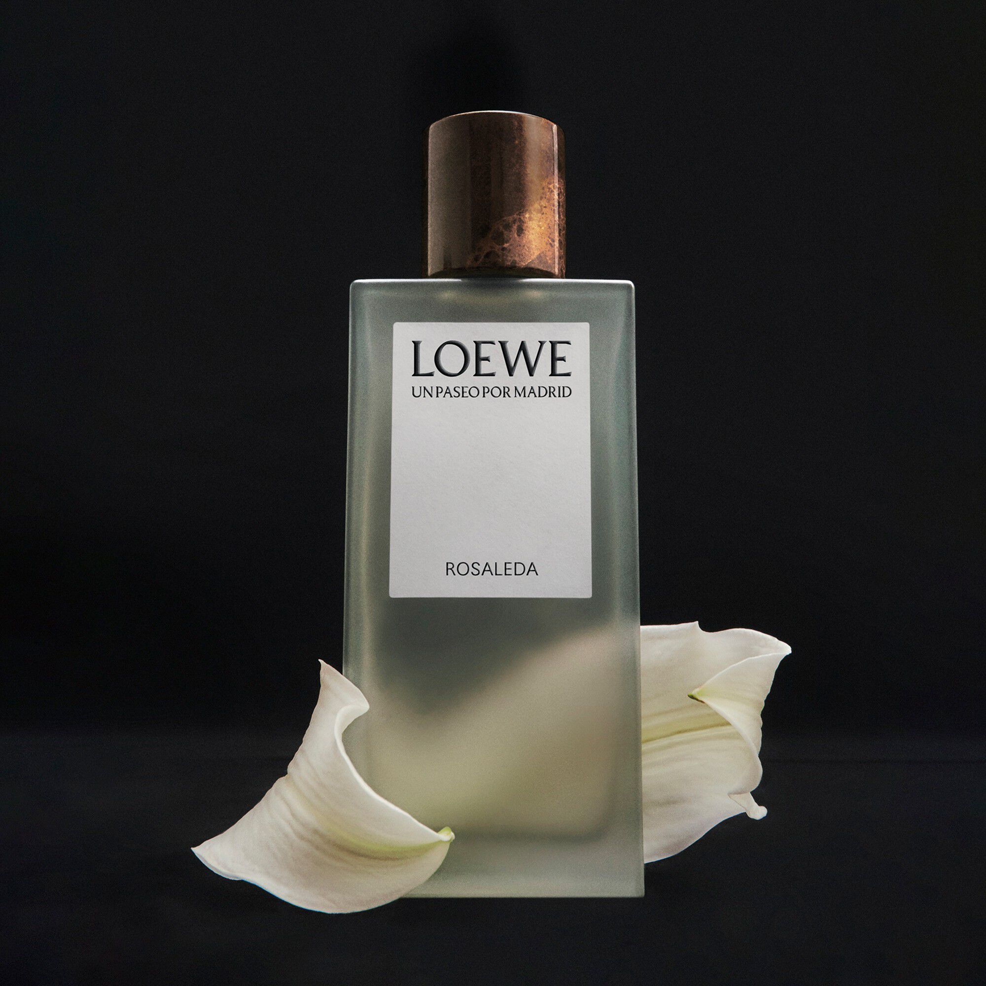 LOEWE Un Paseo por Madrid Rosaleda Eau de Parfum 100 ml