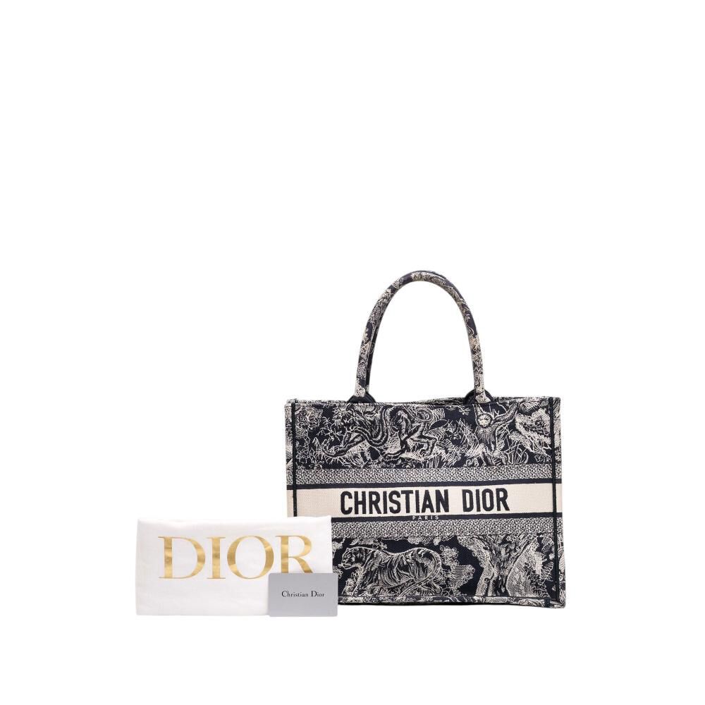 Dior Book Tote