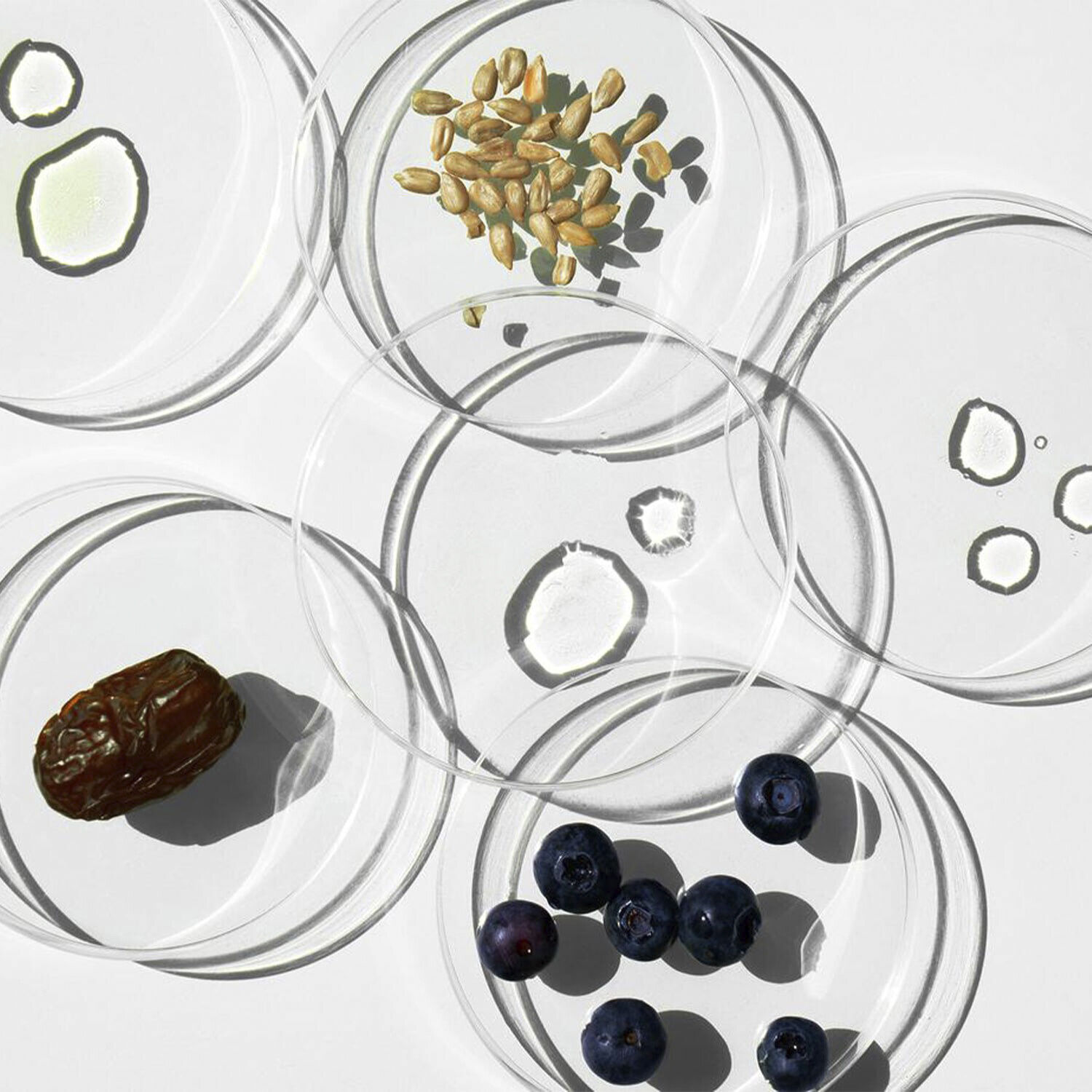 Every season oil - Body and hair dry-oil