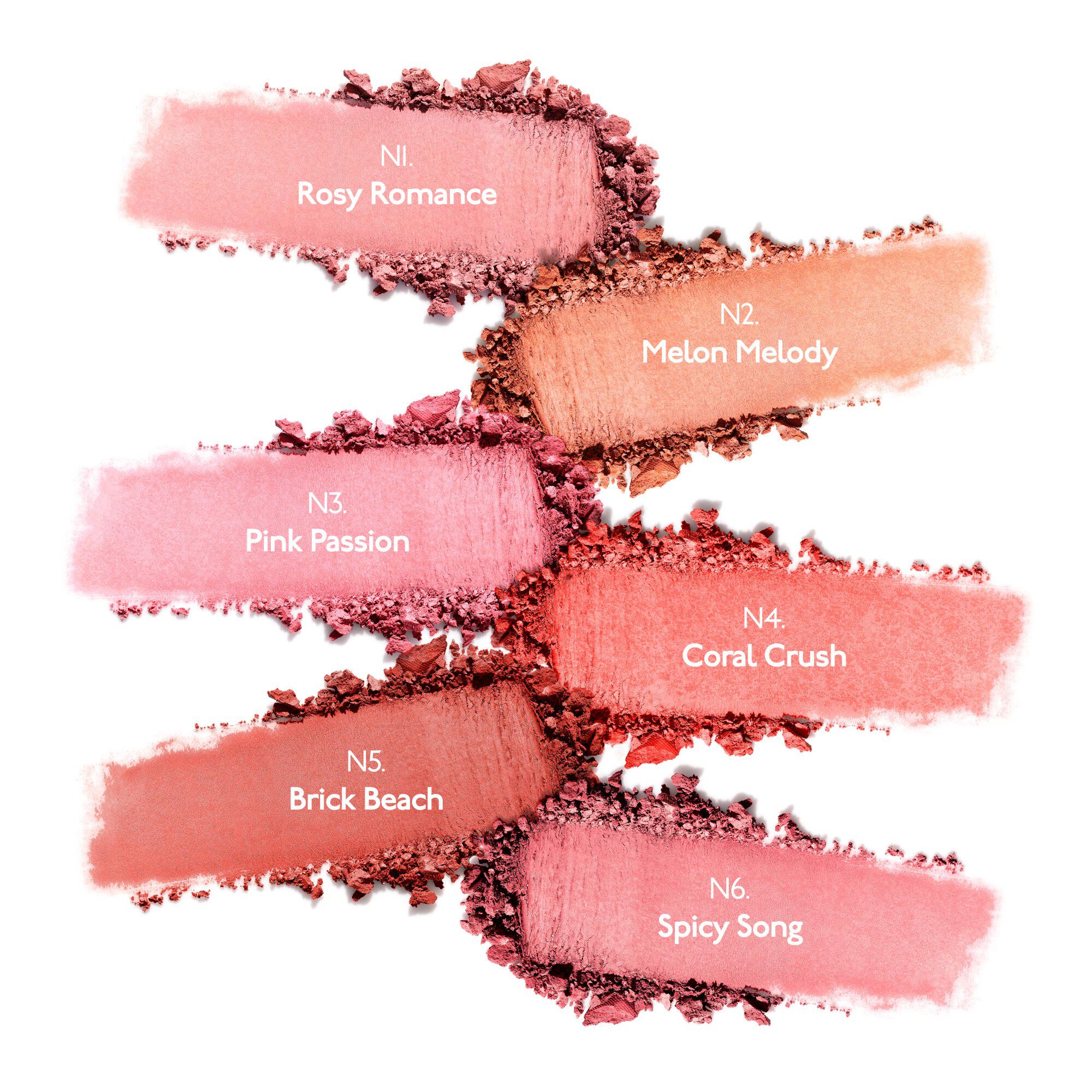 Tea to Tan Powder Blush N6 - Spicy