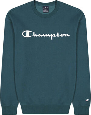 Script Logo Fleece sweatshirt