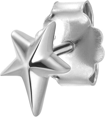 Night Star Stud