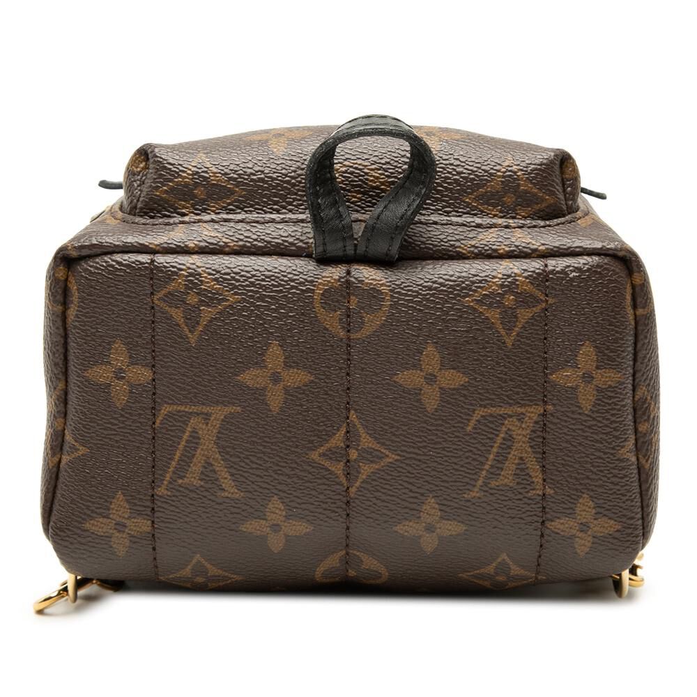 Louis Vuitton Palm Springs