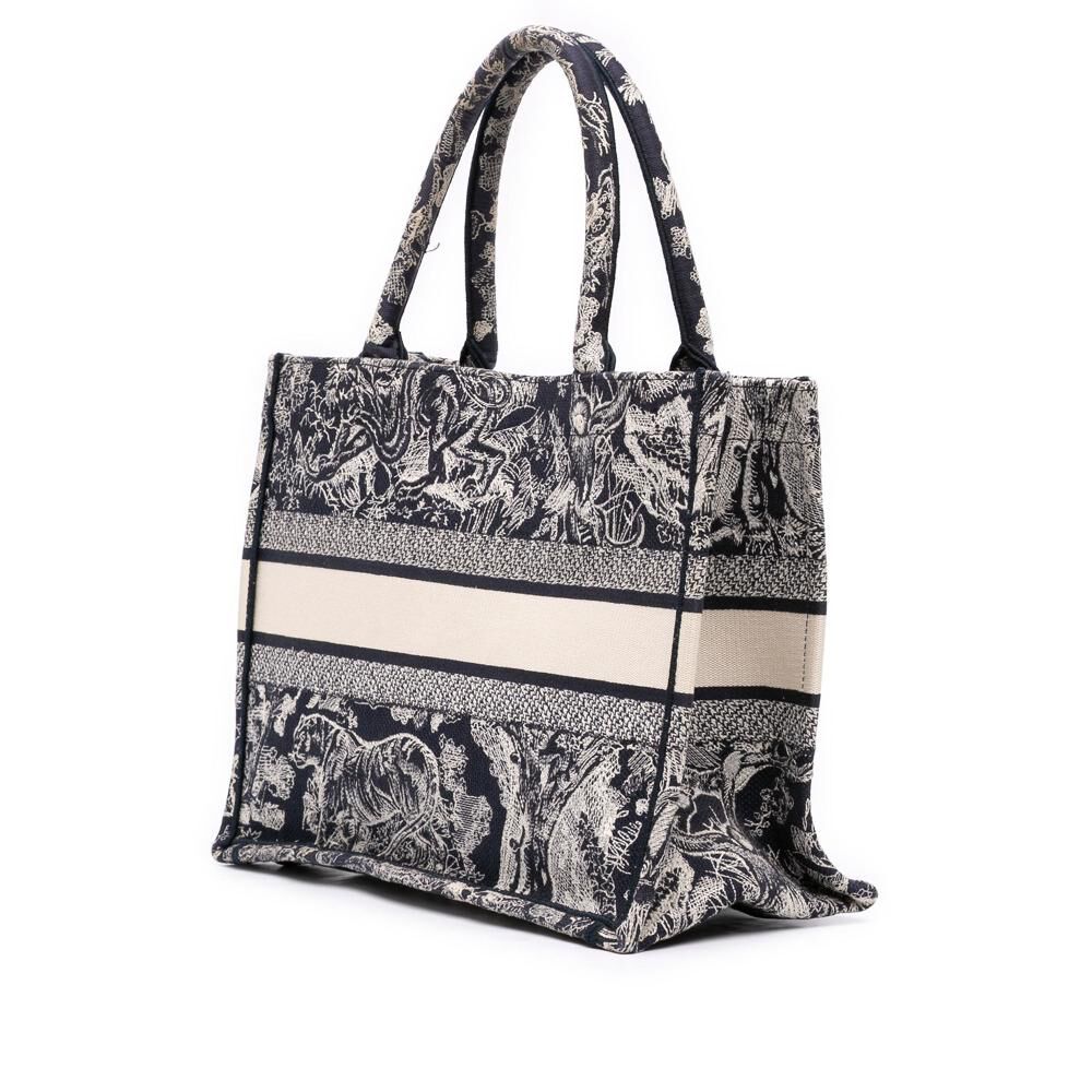 Dior Book Tote