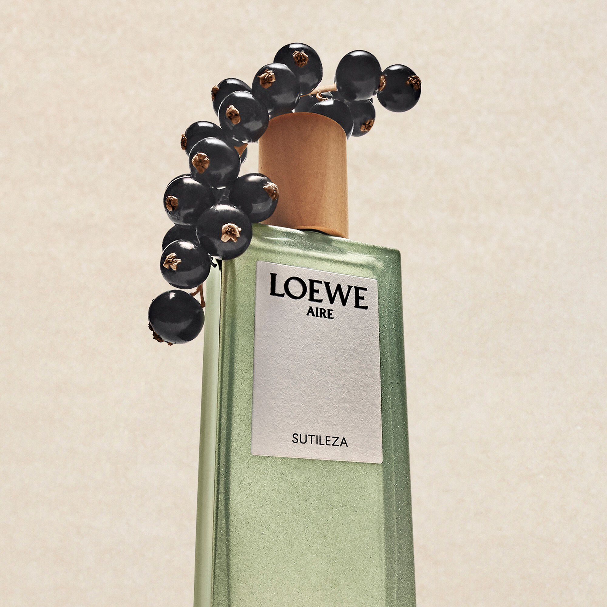 LOEWE Aire Sutileza Eau de Toilette