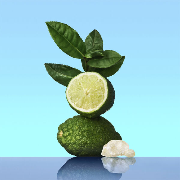 CK One Eau de Toilette