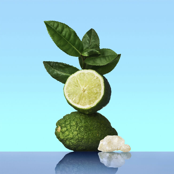 CK One Eau de Toilette