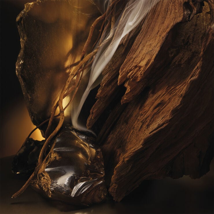 Bottled Elixir Eau de Parfum