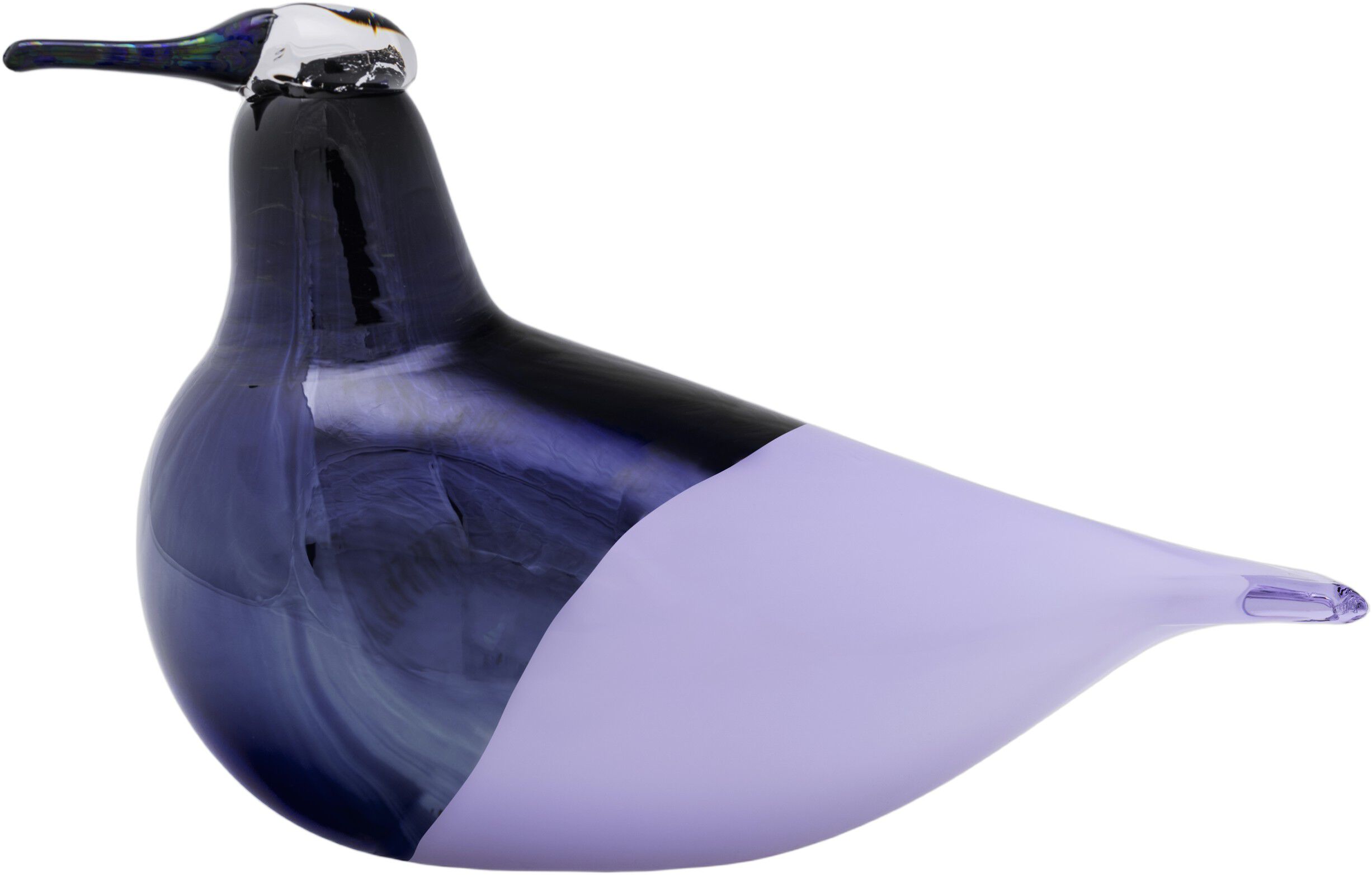 BBT Oriol 245x135 lyselilla &aring;rsfugl 2025