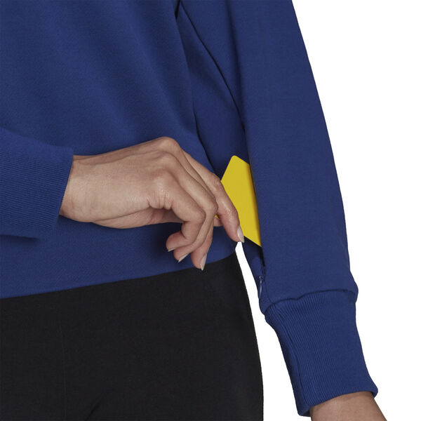 Sportswear Future Icons hættetrøje