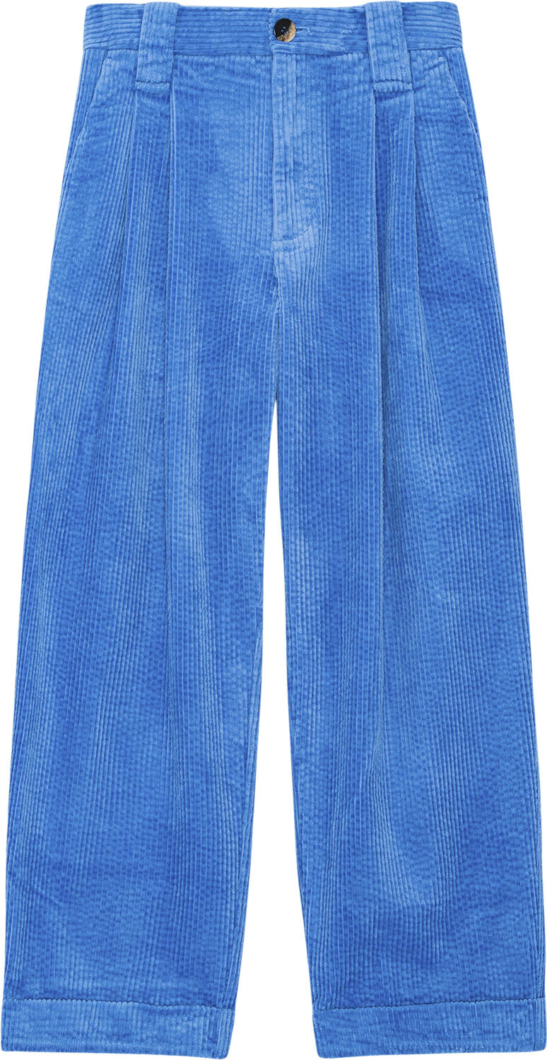 Corduroy Loose Fit Mid Waist Pleat