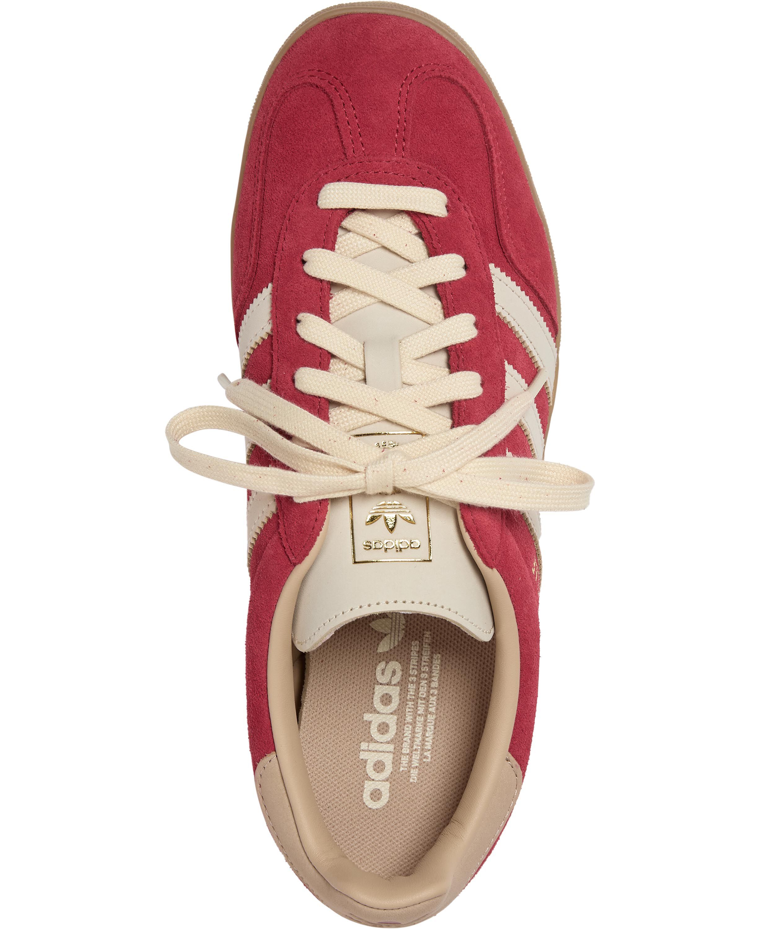 GAZELLE INDOOR