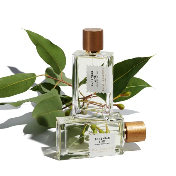 Bohemian Lime Perfume Concentrate