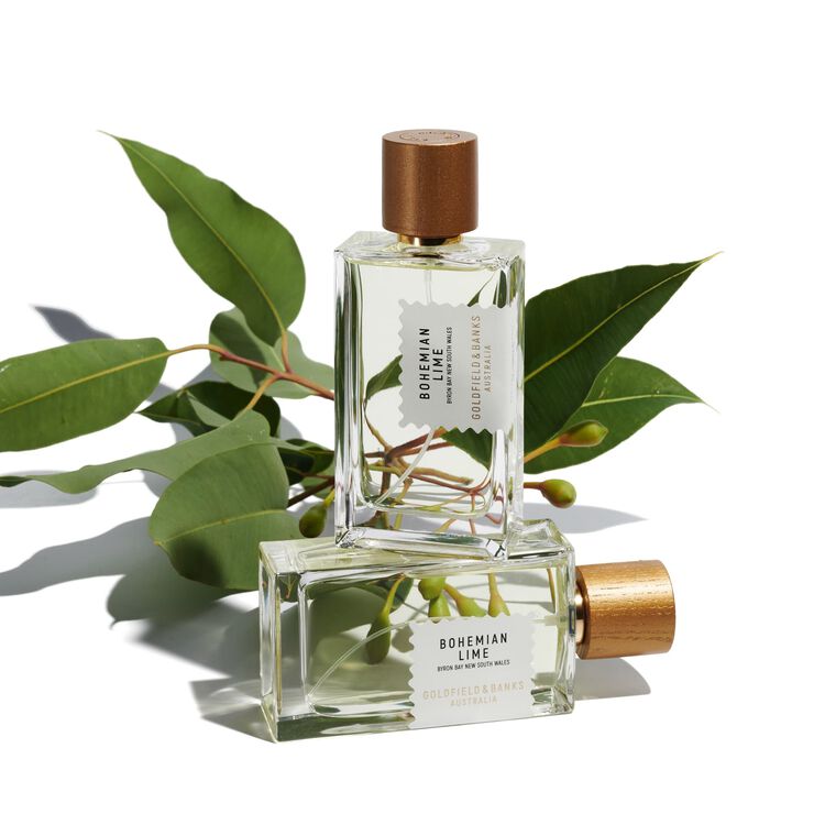 Bohemian Lime Perfume Concentrate