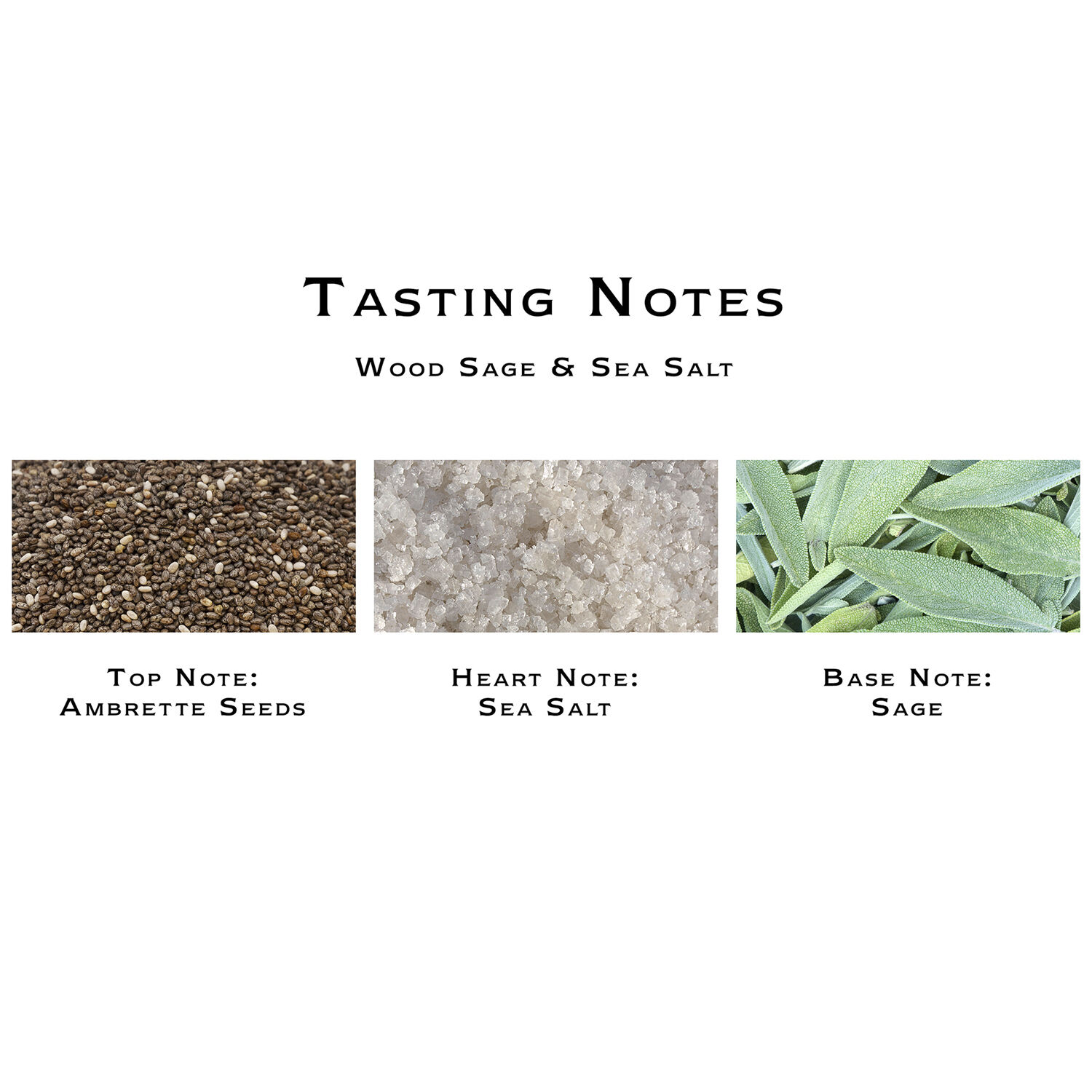 Wood Sage & Sea Salt Scented Classic Candle