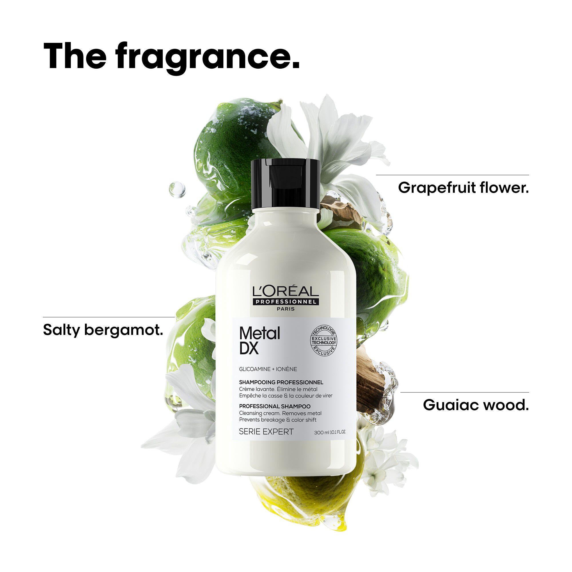 L'Or&eacute;al Professionnel Metal DX Shampoo 300ml