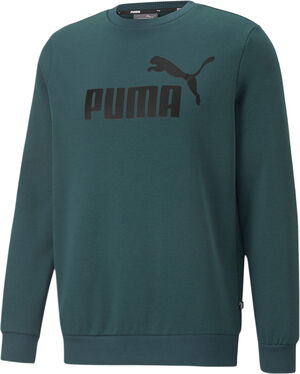 Essentials Big Logo sweatshirt