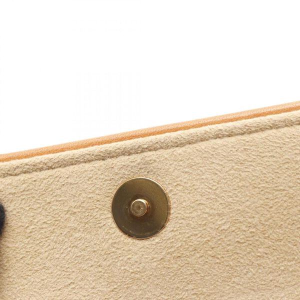 Louis Vuitton Florentine Pochette