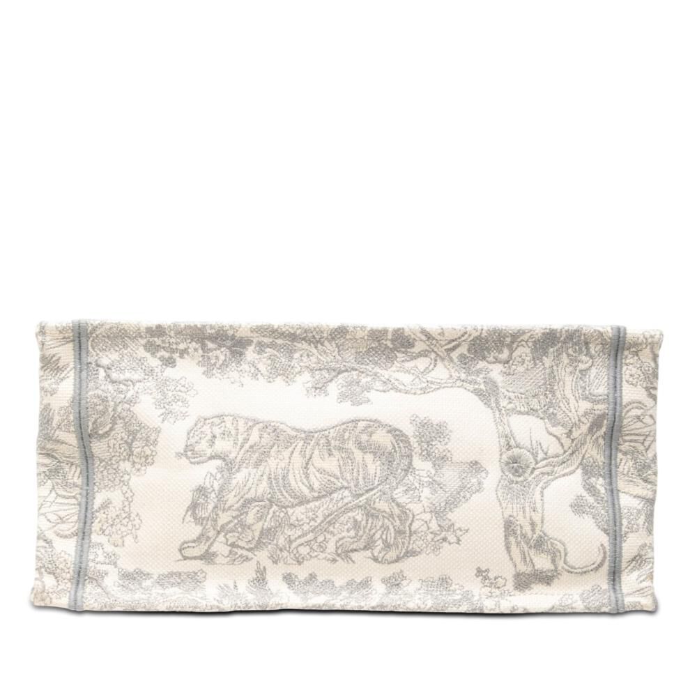 Dior Book Tote