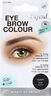 Eyebrow colour Black
