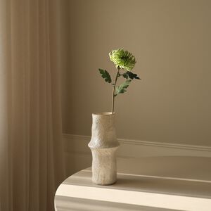 Semi-Cactus Dahlia Flower