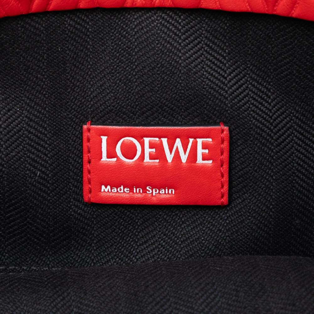 Loewe Clutch